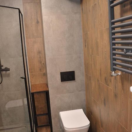 Apartament Malinowka Izerska Świeradów-Zdrój Zewnętrze zdjęcie